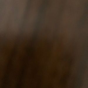 Meet your Posher, Briana